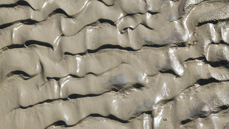 CLAY (MUD)
