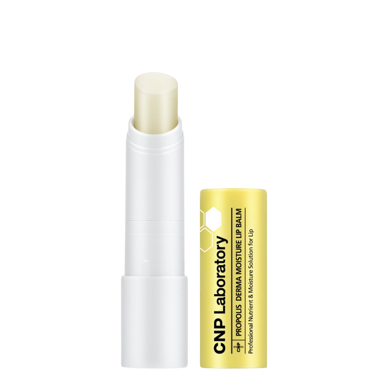 Best Korean Skincare LIP CARE Propolis Derma Moisture Lip Balm CNP Laboratory