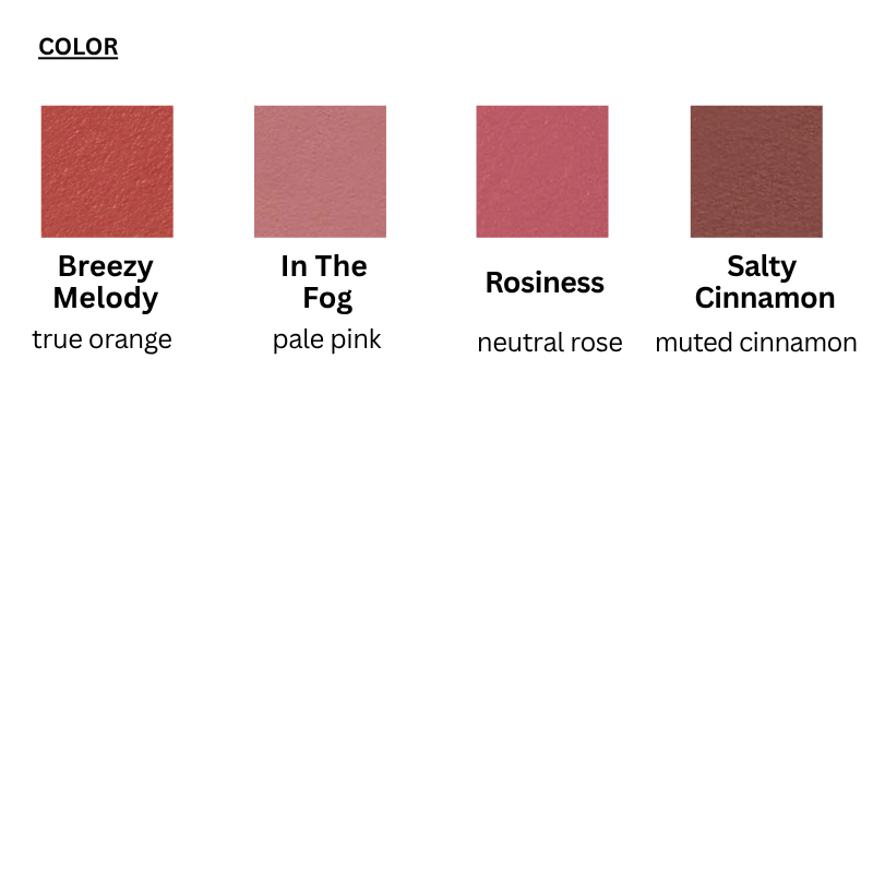 Blur Matte Lipstick (4 colors)