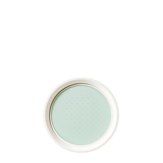 Neo Essential Blurring Finish Powder