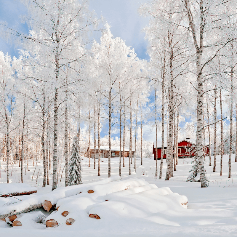 Best Korean Skincare LOTION/EMULSION Oil-Free Ultra-Moisturizing Lotion with Birch Sap COSRX