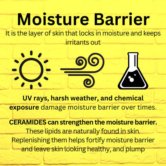Best Korean Skincare CREAM Ceramidin Ultra Moisture Cream Dr.Jart+