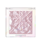 Prism Highlighter (6 colors)