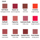 Velvet Lip Tint Plush (12 colors)