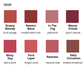 Blur Matte Lipstick (8 colors)