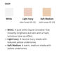 Skin Fit Cover Liquid Concealer (3 colors)