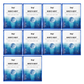 Bird's Nest Aqua Ampoule Mask Set (10 masks)