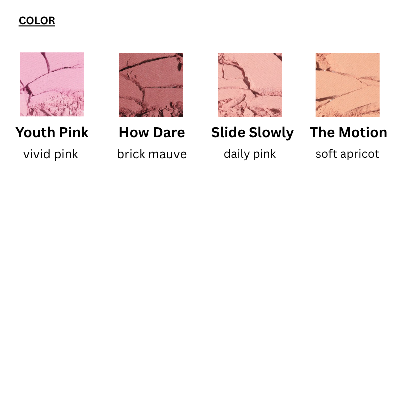 New Take Face Blusher (4 colors)