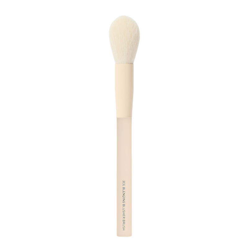 Blending Blusher Brush