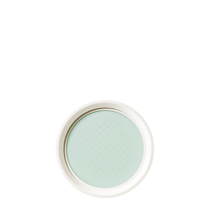Neo Essential Blurring Finish Powder