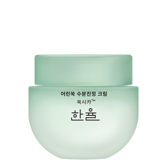 Best Korean Skincare CREAM Pure Artemisia Calming Water Cream HANYUL