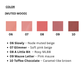 Romantic Blush Lip & Cheek [Muted Mood 06-10] (5 colors)