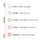 Covericious Serum Foundation SPF38 PA++ (5 colors)