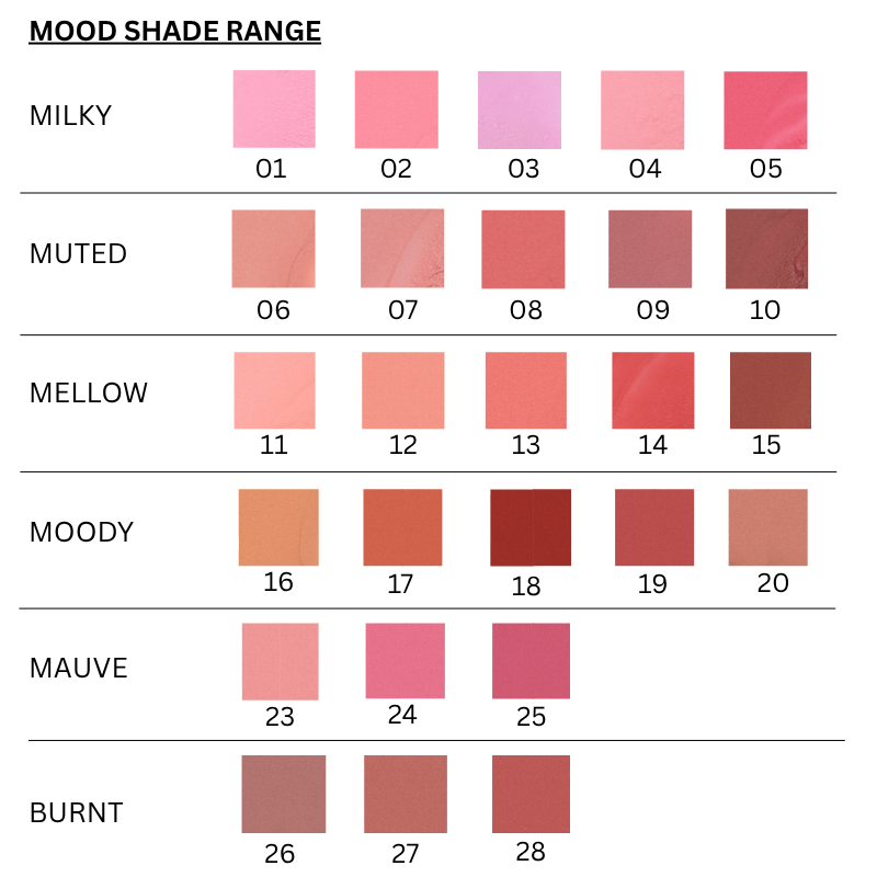 Romantic Blush Lip & Cheek [Milky Mood 01-05] (5 colors)