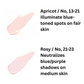 Blemish Cover Pink Concealer (2 colors)