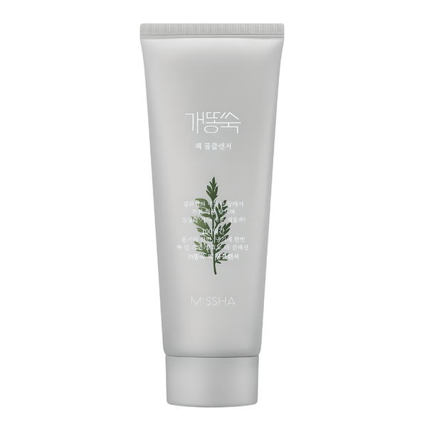 Artemisia Pack Foam Cleanser