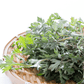 Best Korean Skincare CREAM Mugwort Cream I'm from